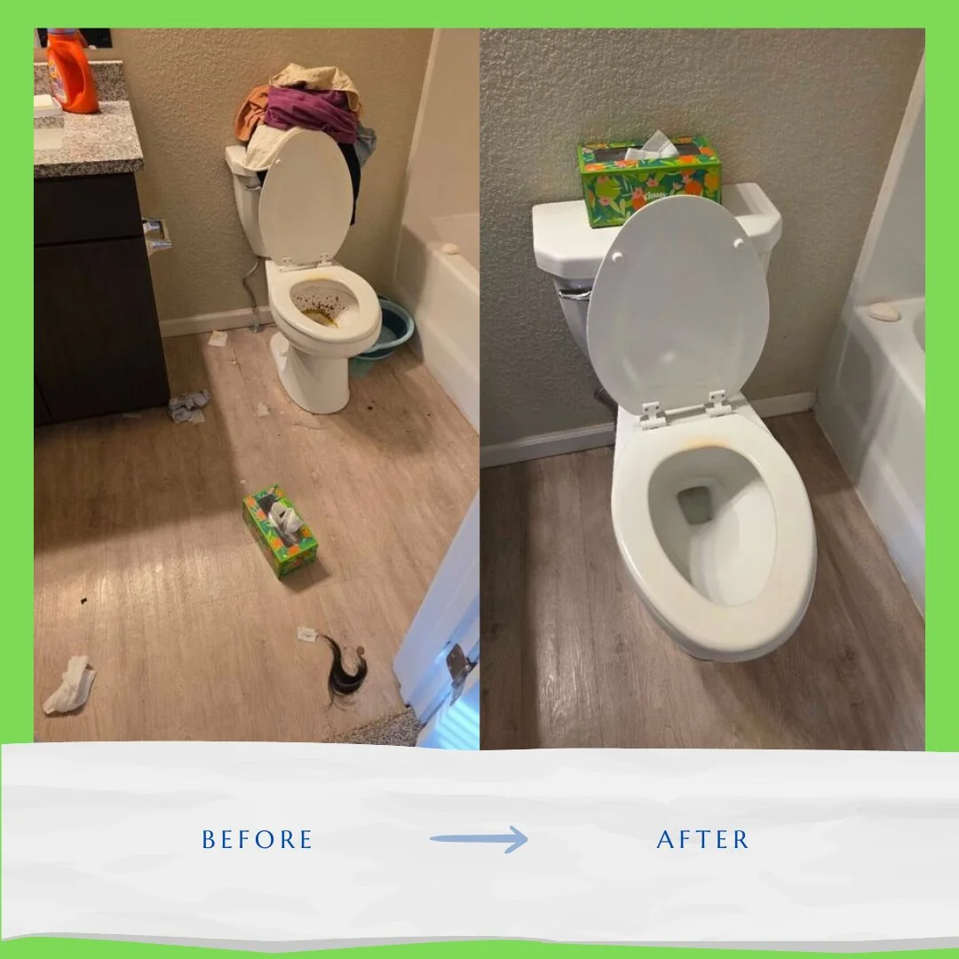 Before and after toilet clean — Maid Nice San Diego